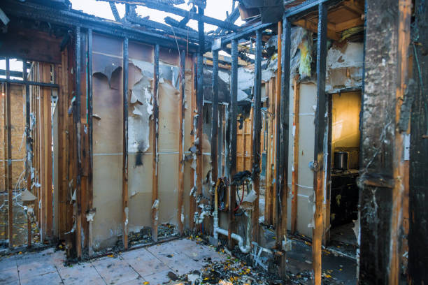 Professional Smoke Damage Removal technician working in Monrovia, MD